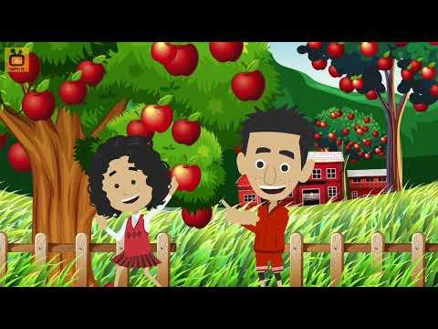 Aaha Tamatar Bade Mazedar