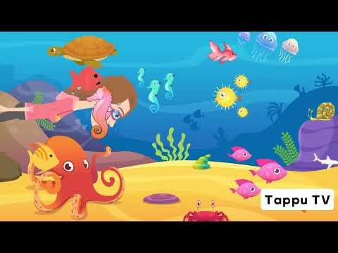 Machli Jal Ki Rani Hai